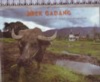 Image of JIREK GADANG RUMAH ADAT MINANGKABAU